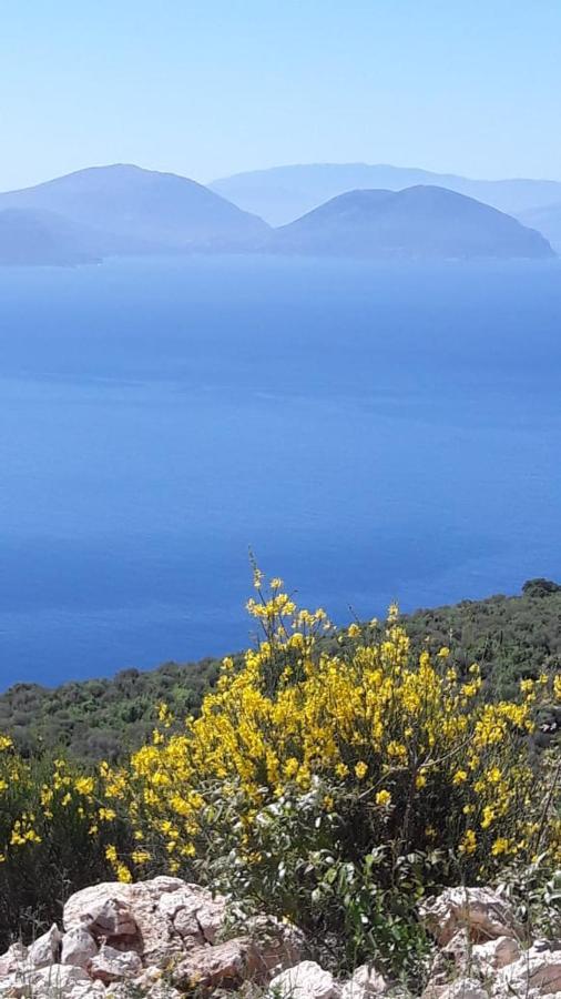 Kallimos Apartment Vasiliki (Lefkada)