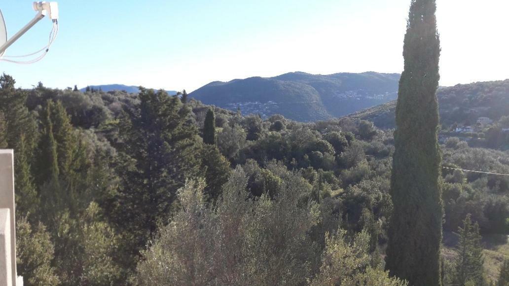 Kallimos Apartment Vasiliki (Lefkada)