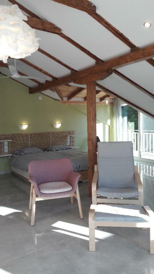 Apartment Kallimos Vasiliki (Lefkada)