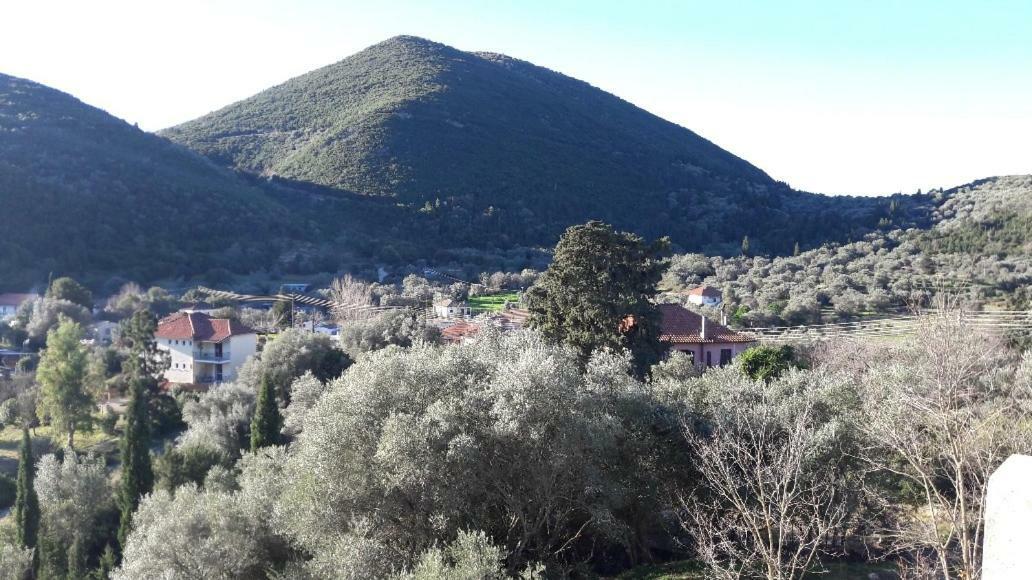Kallimos Apartment Vasiliki (Lefkada)