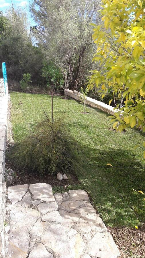 Apartamento Kallimos